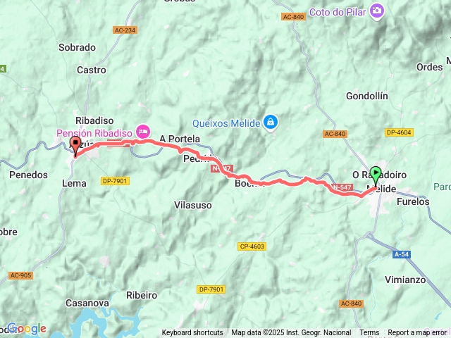 原始之路12Melide-Arzúa