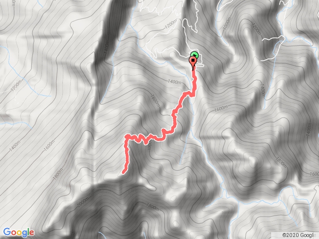 2020-02-29 苗栗南庄鄉加里山(鹿場登山口)