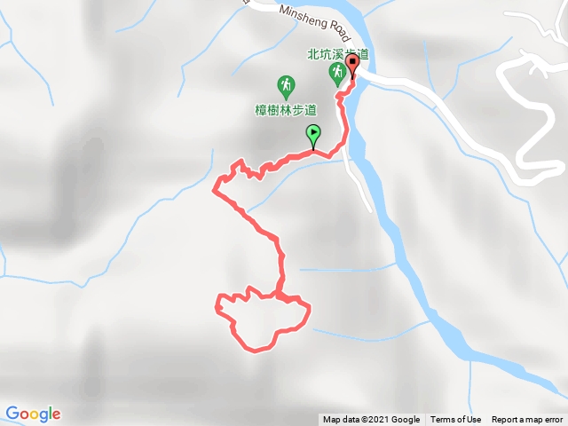 桐林生態步道-樟樹林步道