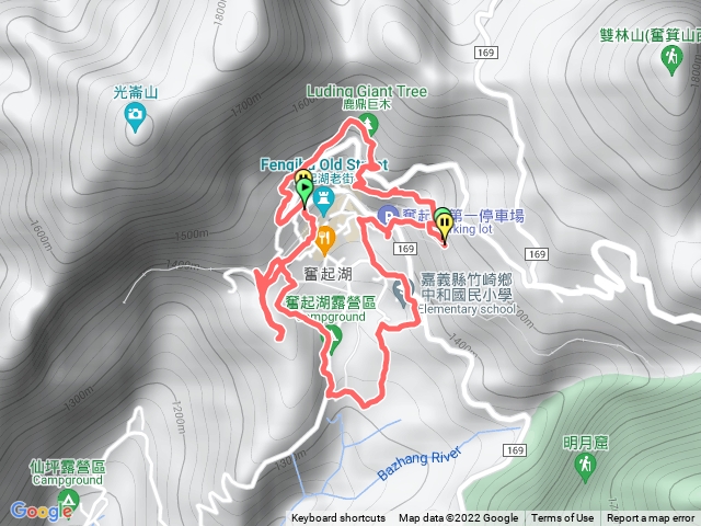   奮起湖巨木,   奮起步道環形連走