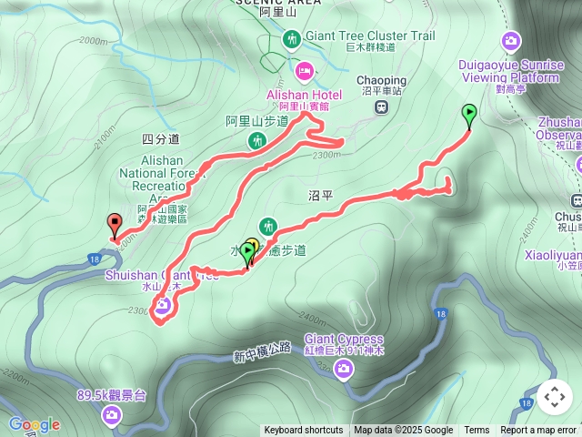 台灣難抵極→水山療癒步道水山巨木