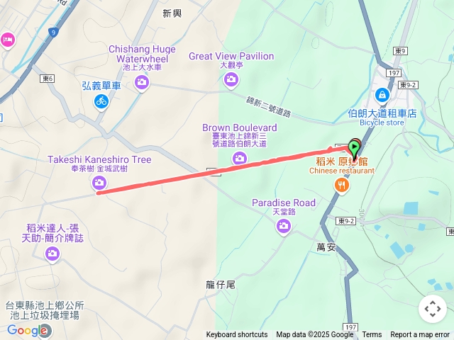 2025_03_02_伯朗大道@台東縣池上鄉_By_睿