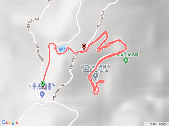 大雪山天池神木