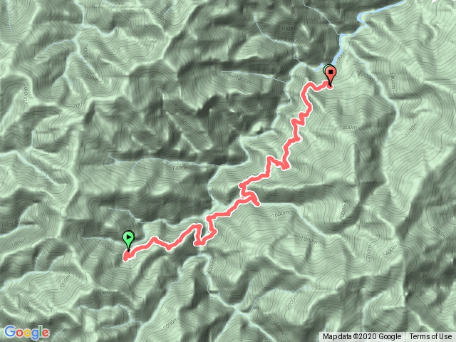 霞喀羅ft月光朝日樹梢棲地
