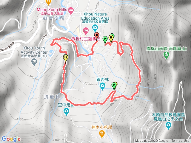 20201103賞鳥步道、銀杏林道