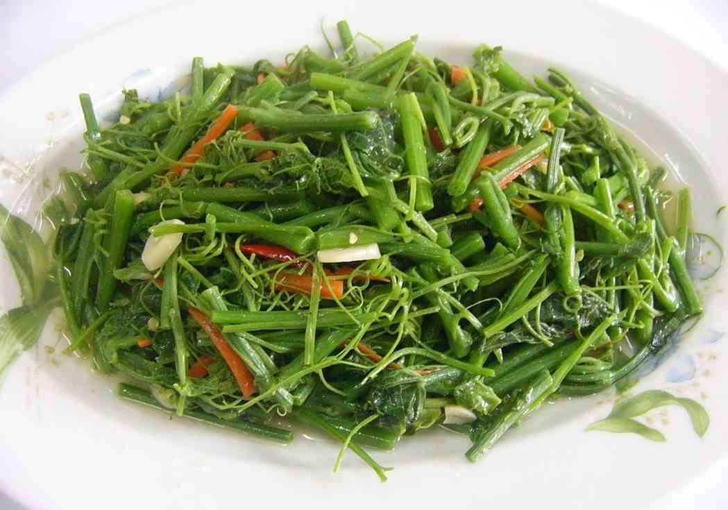 【健康】吃當季／對人體好處多多 龍鬚菜挑