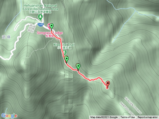 小奇萊賞高山杜鵑