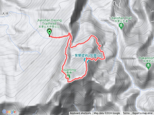 大坪上加里山杜鵑下