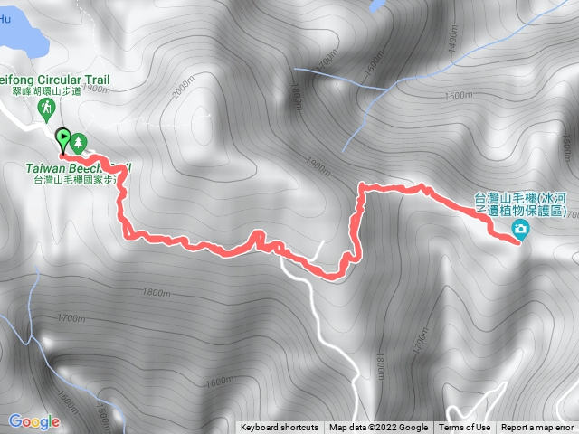 台灣山毛櫸步道
