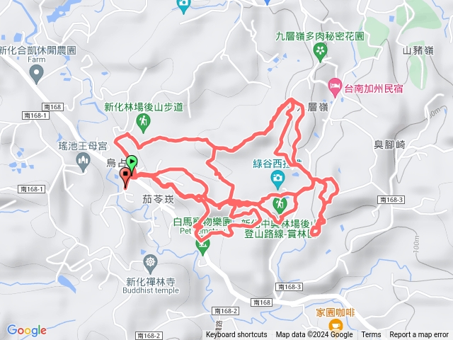 2024.3.10新化中興林場後山 跑跑走