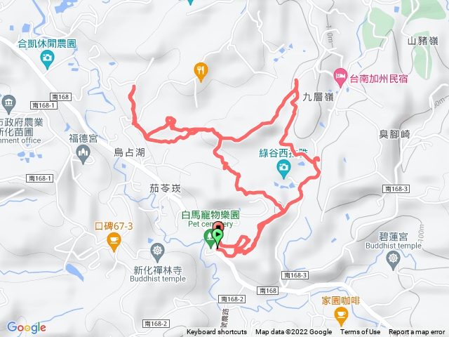 新化林場後山-巨竹