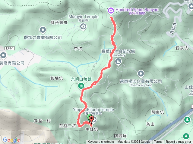 孫龍步道大榕樹