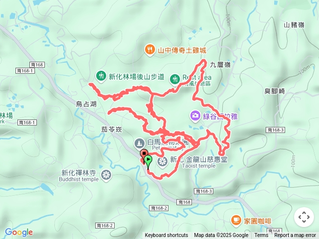 新化林場後山火燒腳散步