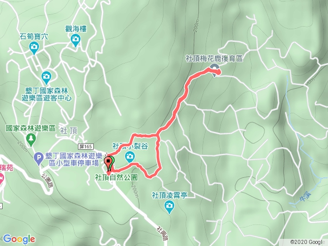 社頂公園梅花鹿探尋