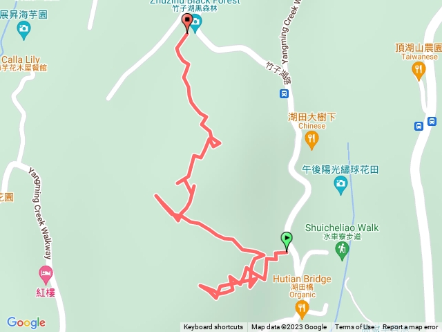 (台北市) 竹子湖山 竹子湖山北峰 黑森林