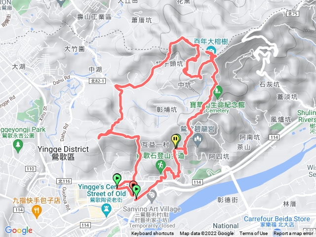 鶯歌16老樹O型