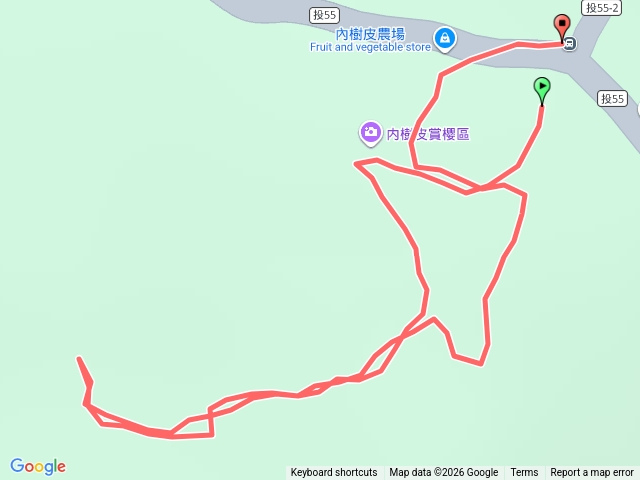 和雅挑竹古道8號(櫻花步道)(2026-1-31)