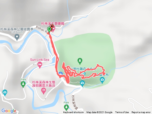 台灣杜鵑花森林步道