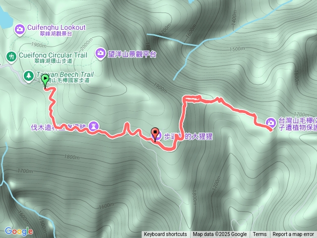 太平山山毛櫸步道