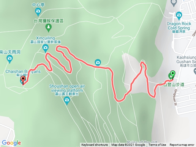 柴山停車場腰繞上盤榕（大眾化路線）