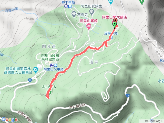 200614阿里山水山神木