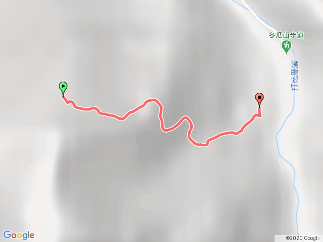 冬瓜山神木下山路徑