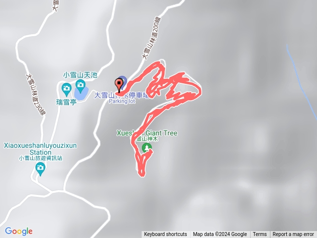 大雪山神木步道