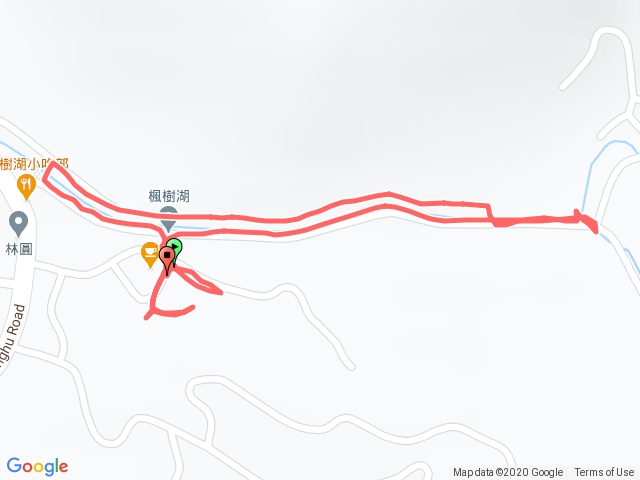 斗六楓樹湖楓香大道