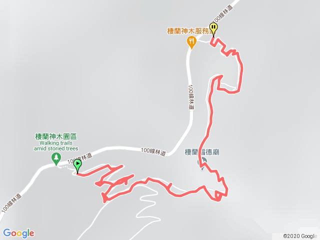 棲蘭神木園短程步道