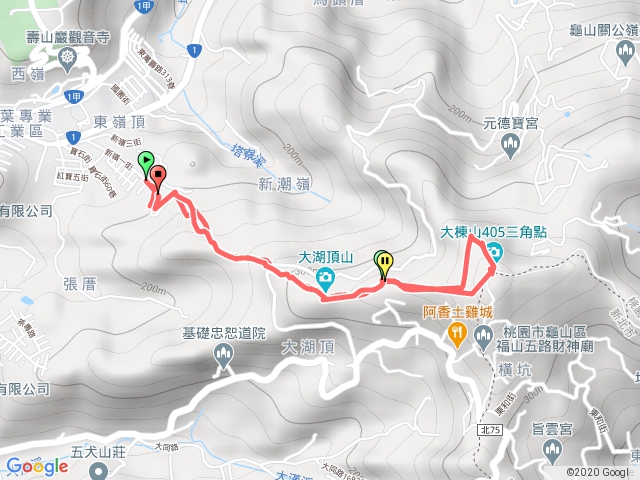 20200604大棟山健行