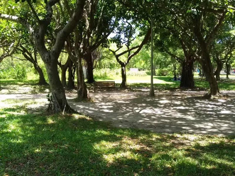 【健康】大安森林公園健走 央行總裁們的「綜合維他命」