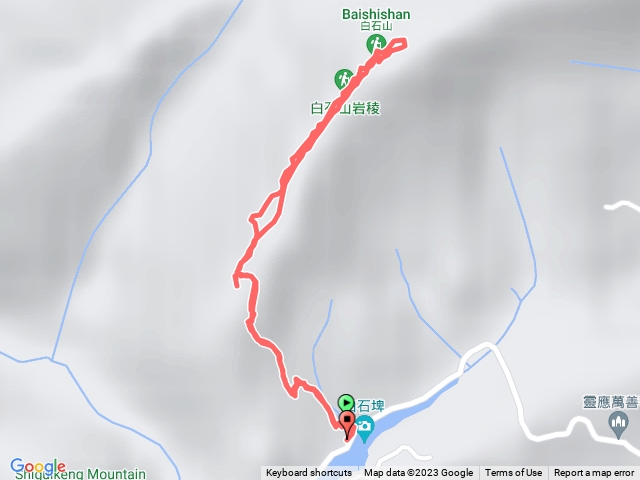 白石山_白石埤大樟樹