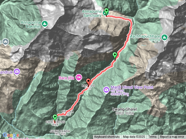 Chhomrong-Himalaya-ABC-(回程）-Bamboo