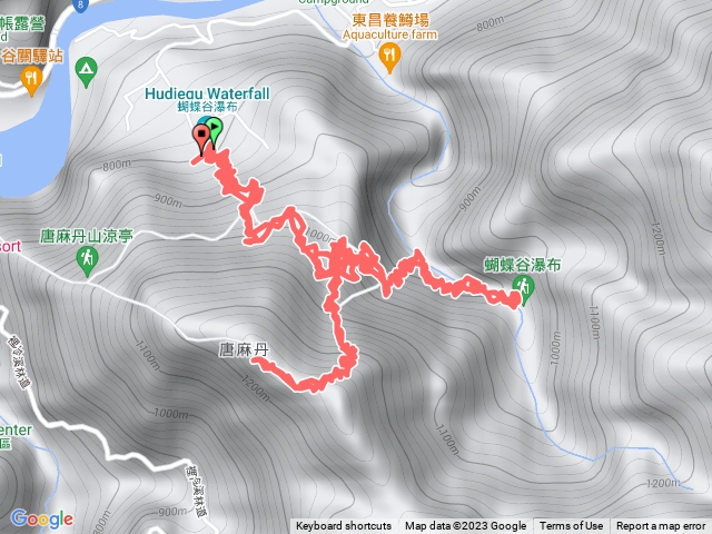 谷關七雄唐麻丹