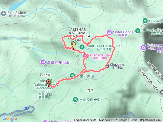 阿里山巨木二號步道