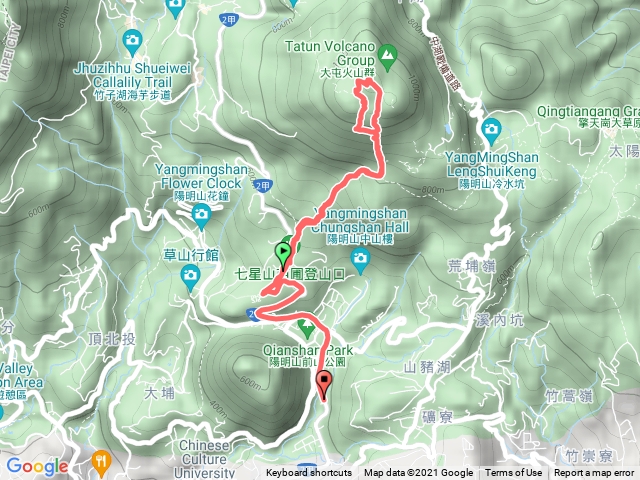 苗圃七星錐七星是山