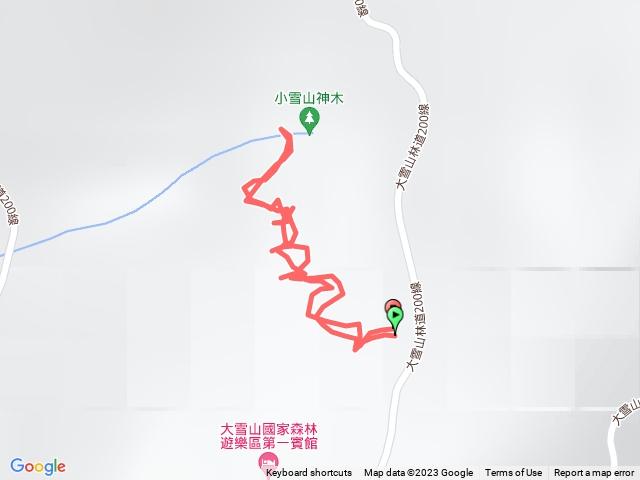 小雪山神木（大雪山林道43k下 切）