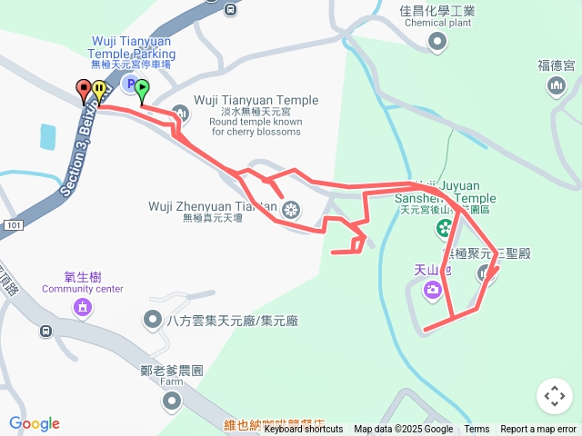 淡水無極天元宮賞吉野櫻