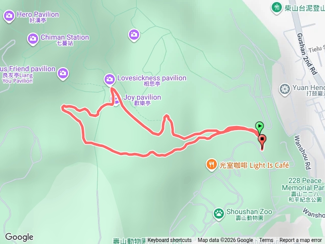 11509柴山玉蘭花預覽圖