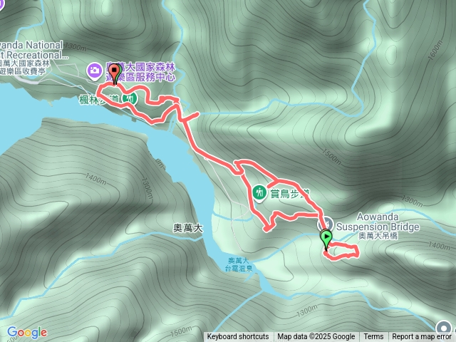 奧萬大-櫻花-好漢坡-森林-賞鳥-吊橋-松林-楓林步道