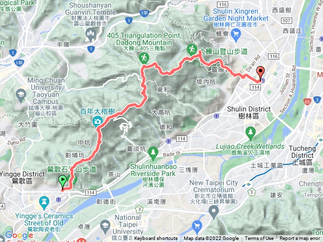 鶯歌-百年老樹-大棟山-樹林