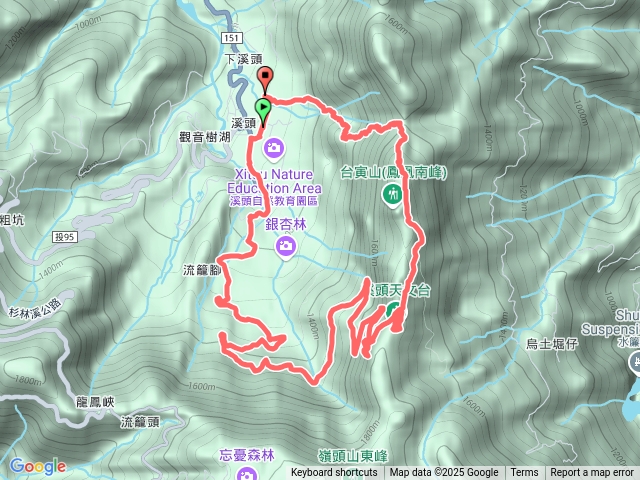 溪頭鳳凰林道預覽圖