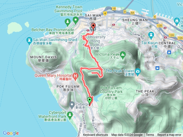 薄扶林水塘西高龍虎