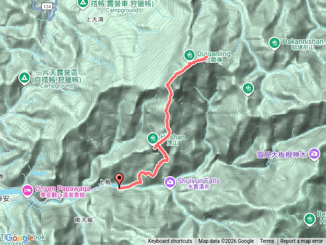 虎加虎-260131預覽圖