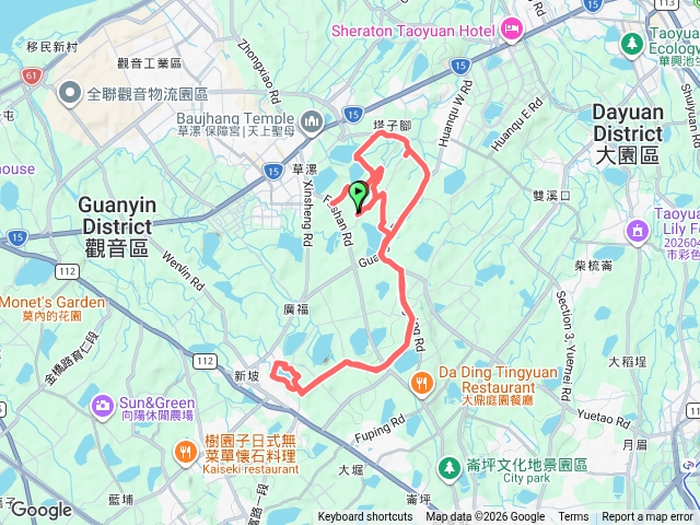 白千層預覽圖