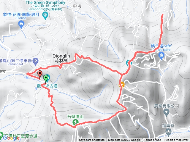 飛鳳山大板根O型