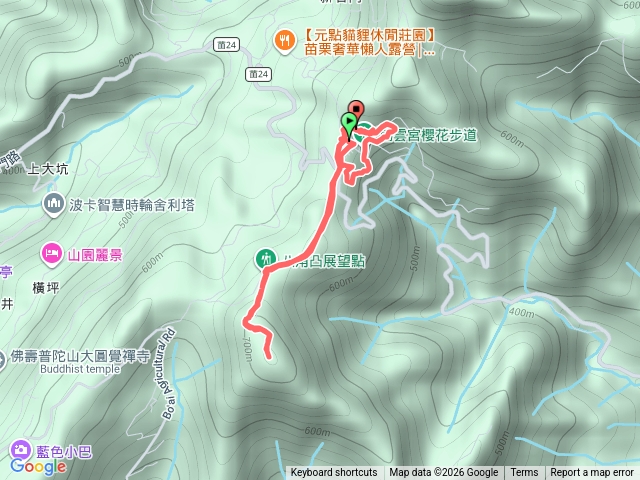 20260131，協雲宮櫻花步道，八角凸展望點