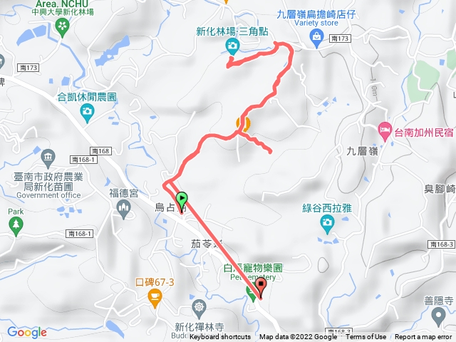 中興林場 後山
