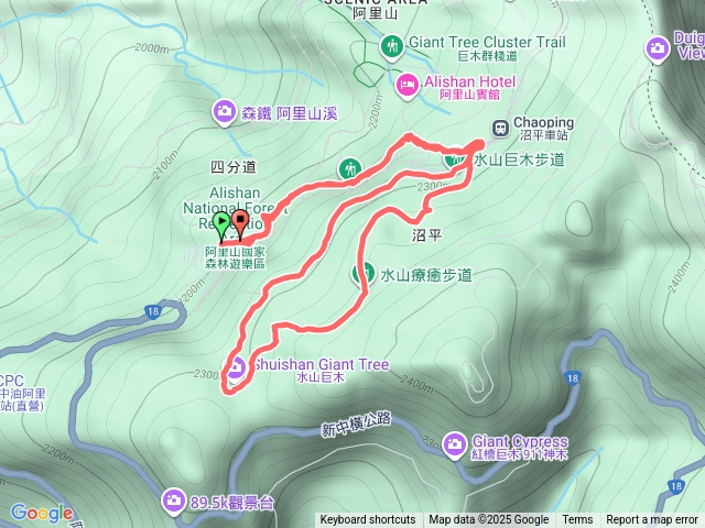 阿里山 水山巨木步道