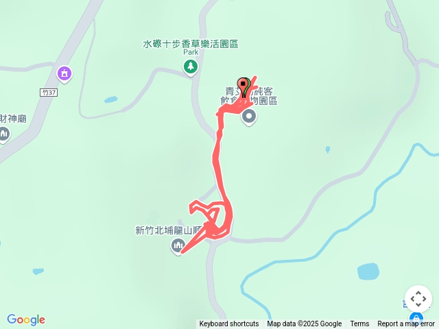 水際村酸柑茶之旅